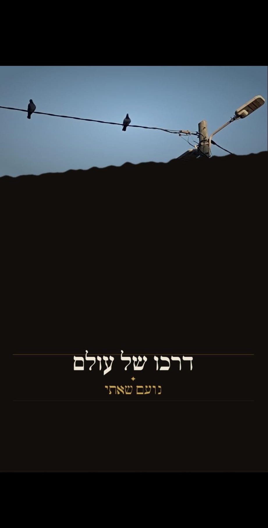 Cover of The Way of a World — Noam Shaty